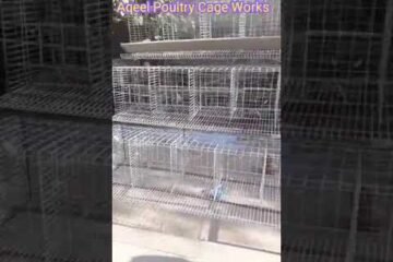poultry cage