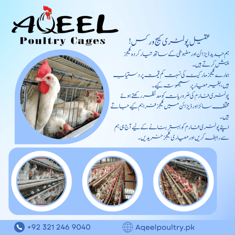 Blue Illustrative Medical Facebook Post (1080 x 1080 px)