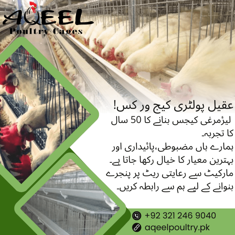 Green and White Modern Hydroponic and Agriculture Consultant Service Instagram Post