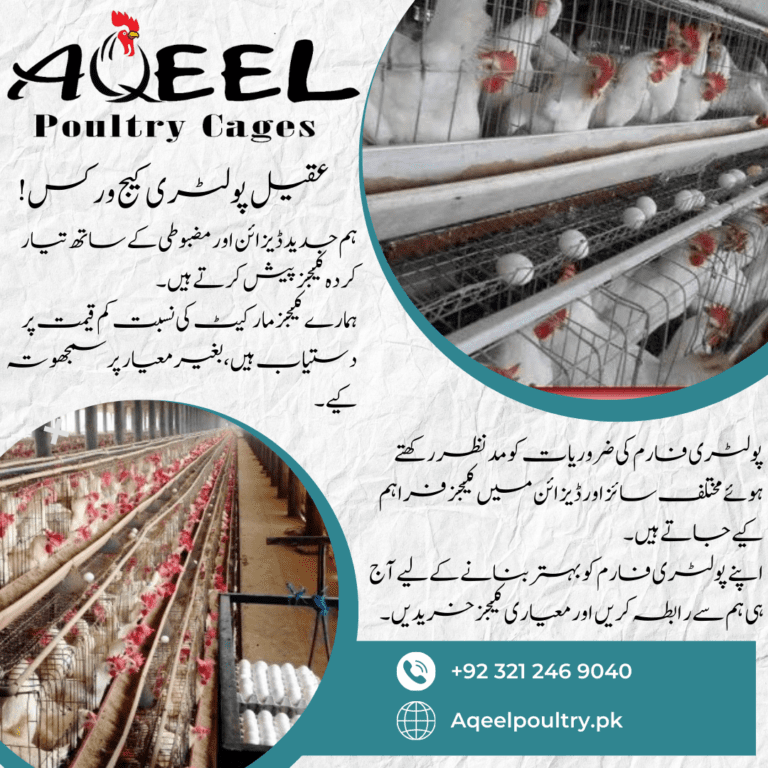 Neutral Layout Health Consult Facebook Post (1080 x 1080 px)