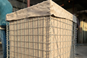 Hesco bags for poultry farm boundary protection in Pakistan