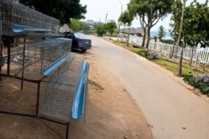 3 layer poultry cage design for poultry farms in Pakistan