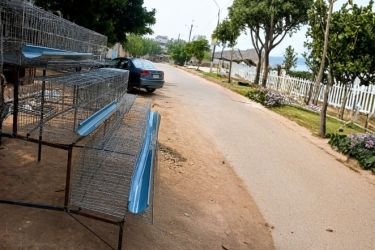 poultry cages Pakistan
