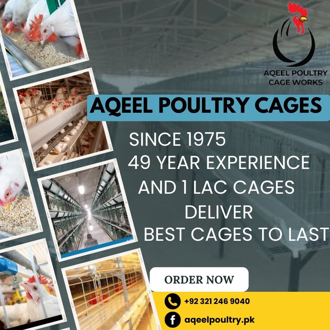 Farm Layers & Poultry Layer Farming Guide in Pakistan