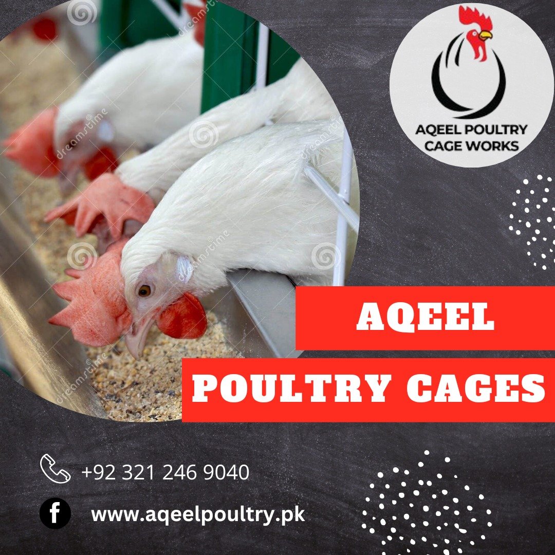 A Smarter Investment for Modern Poultry Farming in Pakistan