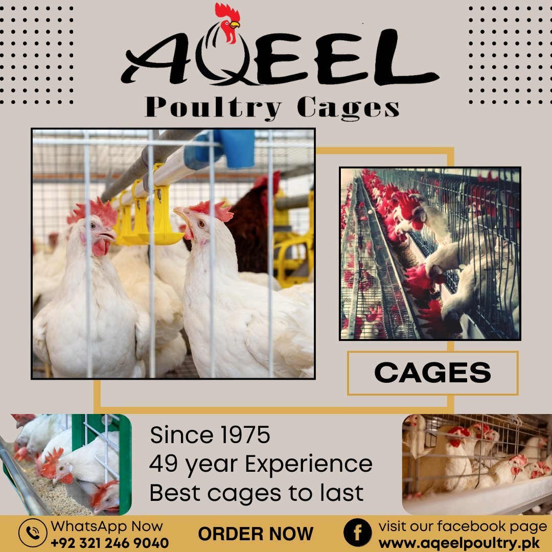 Battery Cage System Poultry: Modern Layer Farming Guide