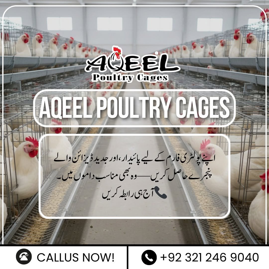 Business Plan for Poultry Farming: Benefits of Layer Cage Systems