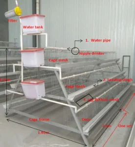 3 layer chicken cages