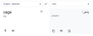 cage meaning in urdu