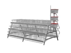 2 layer chicken cages