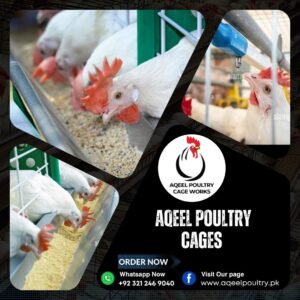 poultry cages in pakistan